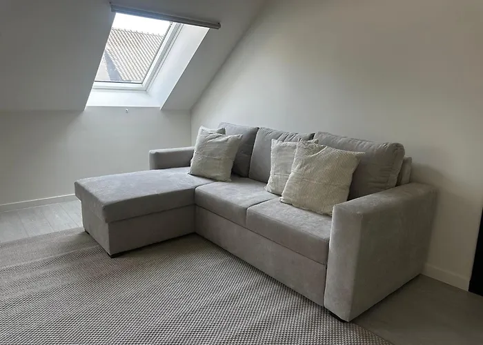 Spacious 5br & 1lr Retreat For Families & Groups For 18p With Tv & Wifi Appartement Gent