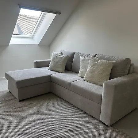 Spacious 5br Retreat For Families & Groups For 16p With Wifi Lägenhet Gent
