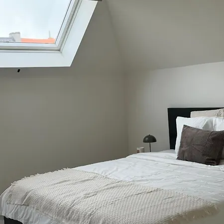 Spacious 5br Retreat For Families & Groups For 16p With Wifi Apartment Ghent