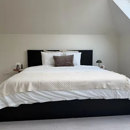 Spacious 5br Retreat For Families & Groups For 16p With Wifi Lägenhet