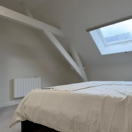 Spacious 5br Retreat For Families & Groups For 16p With Wifi Lägenhet *
