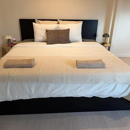 Spacious 5br Retreat For Families & Groups For 16p With Wifi * Gent