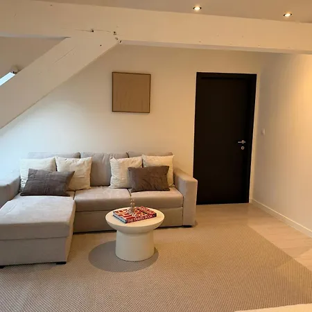 Spacious 5br Retreat For Families & Groups For 16p With Wifi Lägenhet Gent